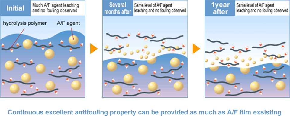 TAKATA QUANTUM Mechanism - Self-polishing（Ideal polishing） -