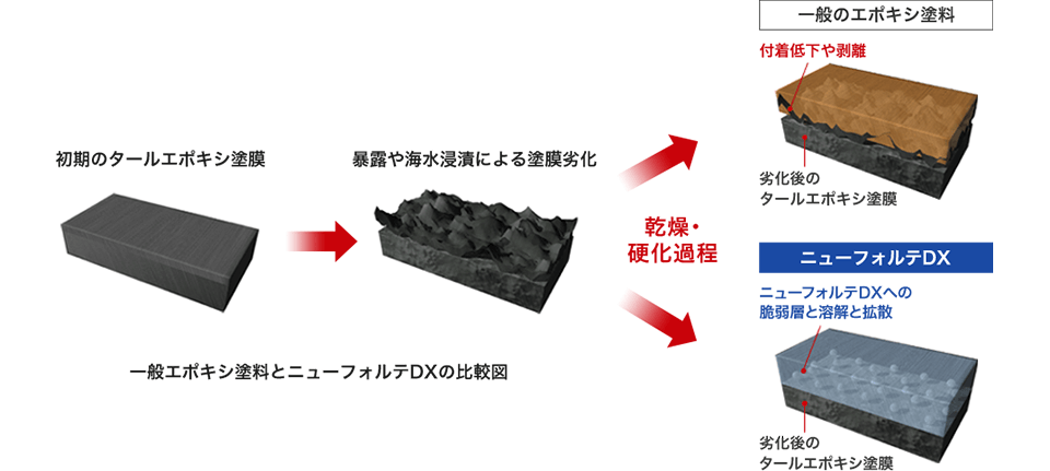 一般エポキシ塗料とニューフォルテDXの比較図