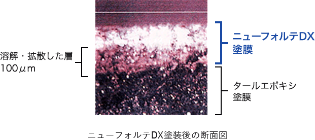 ニューフォルテDX塗装後の断面図