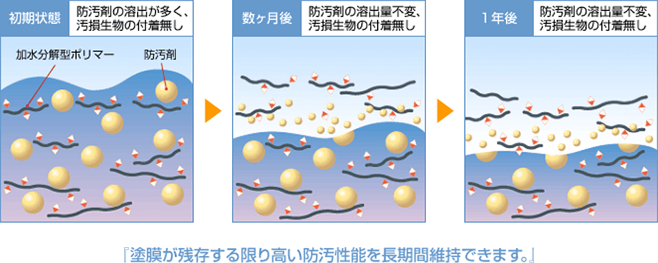 クォンタムのメカニズムー自己研磨型（理想形）ー