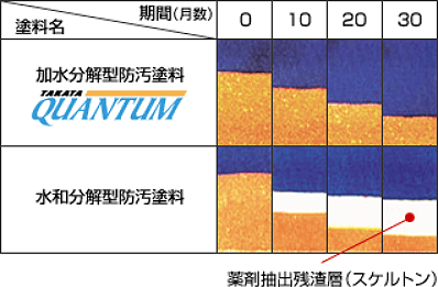 クォンタムの消耗性